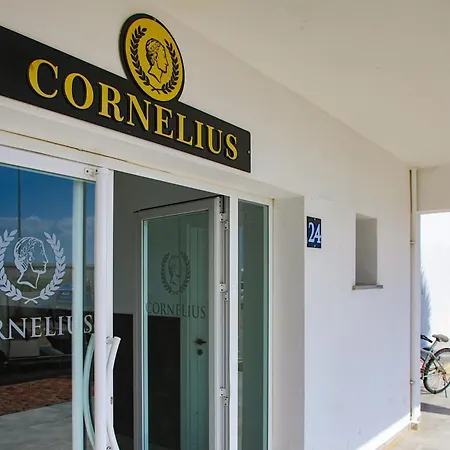 One Bedroom In Caesar & Spa, Long Daire